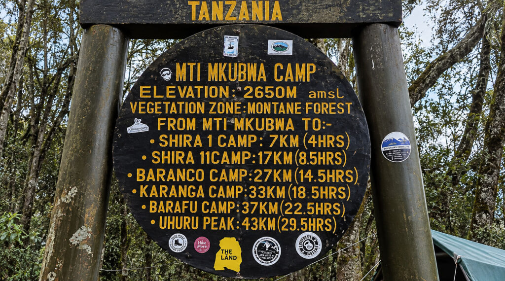 Mti Mkubwa Camp to Shira 1 Camp